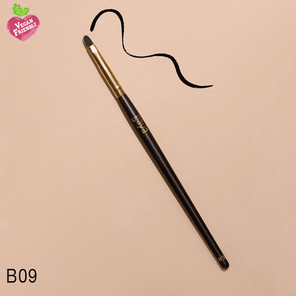 מברשת איילנר