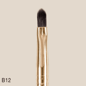 מברשת לשפתיים