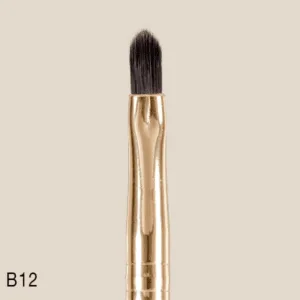 מברשת לשפתיים