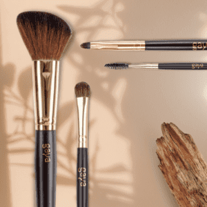 ערכת מברשות