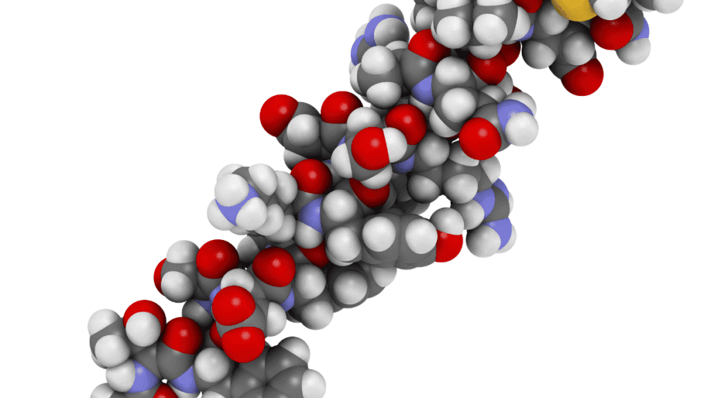 פפיטידים לעור