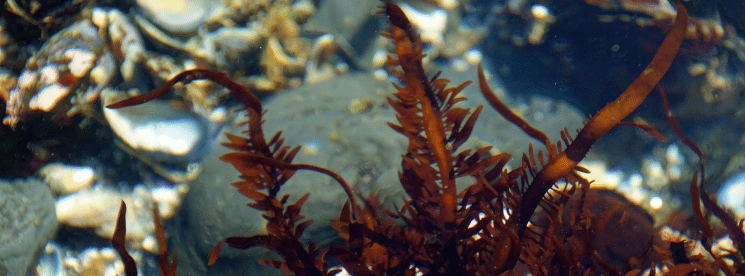 Untitled design (22)